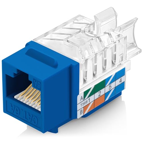 Everest 45° Angled RJ45 Cat6A Keystone Jacks 50-Pack Blue