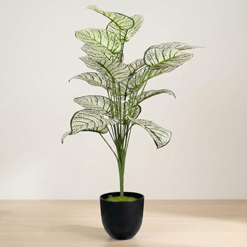Image of Dekorly Artificial Palm Tree - Large Fake Tropical Floor Plant, Realistic Plastic Greenery for Indoor Home, Office, Living Room & Corner Decor (Dieffenbachia White)