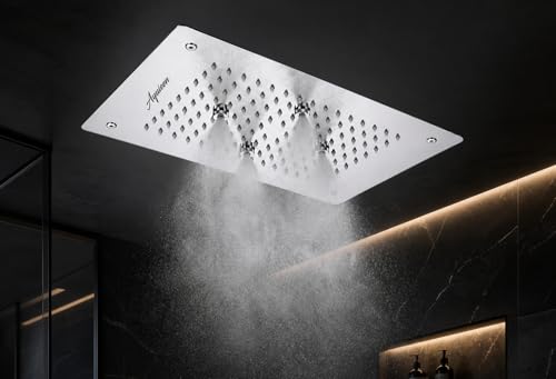 Image of Aquieen 2 inlet rain and mist shower SS304 Ceiling Shower (10 x 15 Rain + Mist)
