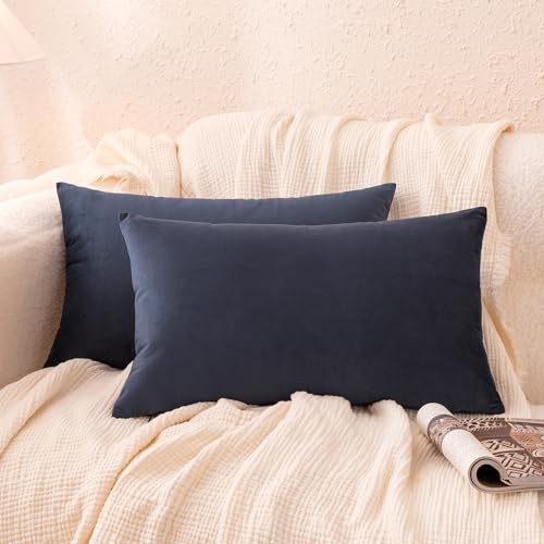 Amazon Basics Velvet Lumbar Throw Pillow Covers, Soft Decorative Square Cushion Cases Modern Home Decor for Sofa, Couch, Bed, 20 × 12in, Navy Blue, Pack of 2