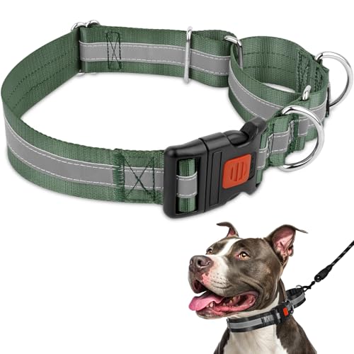 Mayerzon 1.5" Wide Reflective Martingale Collar for Large Dogs, Patented No Pull Heavy Duty Walking Training Dog Collar for Pitbulls German Shepherds, with Buckle, 2 D-Rings, Adjustable (Green, L)