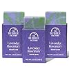 Handmade natural bath body soap bar vegan all natural palm oil free made in usa with shea butter essential oils lavender rosemary 3 bars  urban country home decor