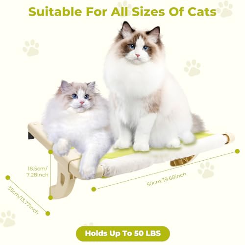 CycleMore poleiro de janela de gato, rede de janela de gato para grandes gatos internos, fácil de mo