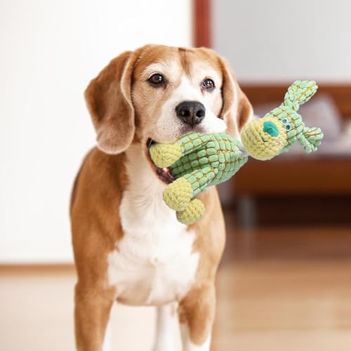 JunD Robust 2025 Upgrade Hundekuscheltier Plüschspielzeug für Welpen und Mäßige Kauer – Extra Robust, Quietschend & Knisternd, Welpenfreundlich, Kuschelkissen 25,5 x 13,5 cm