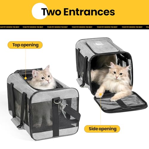 Conlun Cat Carrier Airline Approved, Soft-Sided Dog Carrier with Inner Safety Leash, Pet Transport Carrier for Small-Medium Cats Puppies up to 15 Lbs, Collapsible Travel Kitten Carrier Bag -Gray M by Conlun - Image 4