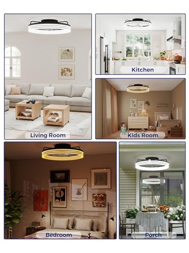 Image of Ceiling Fans with Lights and Remote, 20 inch Low Profile Flush Mount Ceiling Fan with 7 Blades, 6 Speeds, 3CCT Dimmable LED Fan Light (3000K-6500K), Modern Fandelier Ceiling Fans for Bedroom