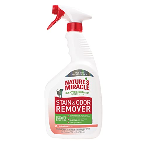 Image of Nature's Miracle Dog Stain and Odor Remover, Everyday Mess Enzymatic Formula, Melon Burst Scent, 32 oz
