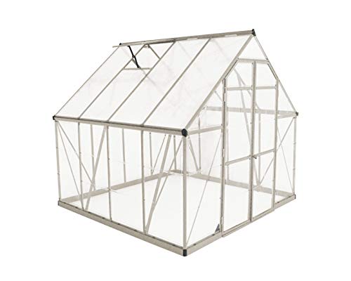 Palram Balance Invernadero (8x8 pies, Plata)