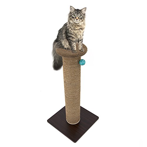 Kitty City Tall Sisal Cat Scratching Post, 32” Durable Scratcher with Sturdy Base & Hanging Jingle Toy, Easy Assembly, Furniture Protection for Indoor Cats - Brown by Kitty City - Image 8