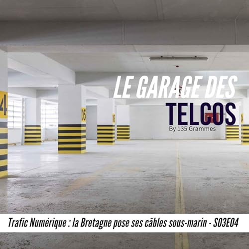 Trafic Num&eacute;rique : la Bretagne pose ses c&acirc;bles sous-marin