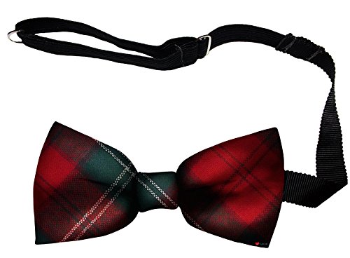 Noeud papillon pour homme en laine tissé en Écosse Lennox