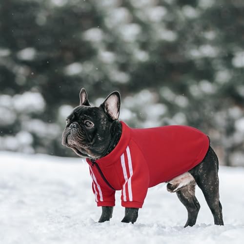 PUMYPOREITY Bulldog Apparel Perfect for French & English Bulldogs, Bully Breeds, Breathable Dog Hoodie with Striped Sleeves, Zipper Front for Easy Wear, Red, XL - Image 6