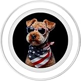 Zoom IMG-1 lakeland terrier dog 4 luglio Zoom IMG-1 lakeland terrier dog 4 luglio