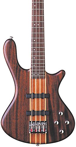 Washburn T24NMK Taurus Bass Guitar | Amazon