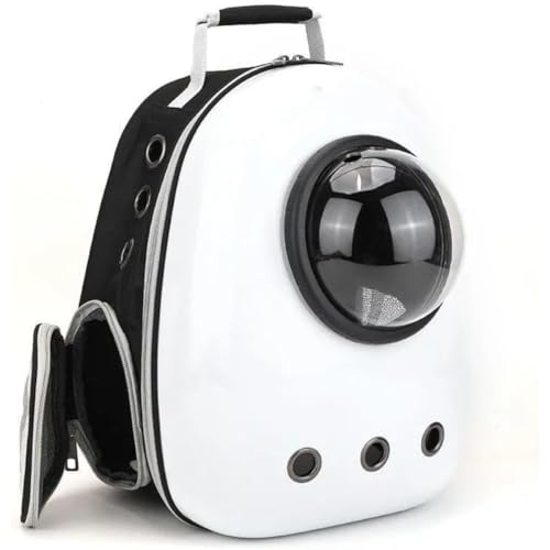 WhiteForest LL[obO LbN LL[ bN FD JvZ y ^p hCu LsO s ʉ@ ЊQ p ω׏d6.5Kg (zCg)