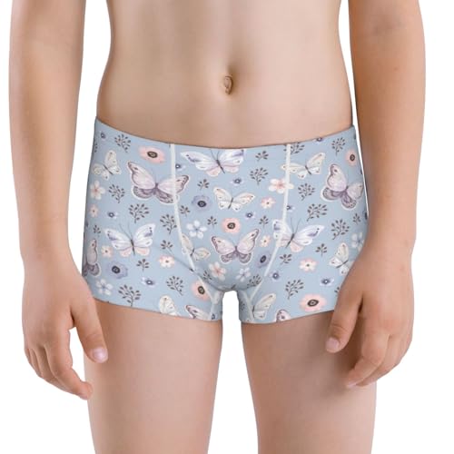 Boys' Cotton Boxer Brief Soft Underwear-Blue Butterfly