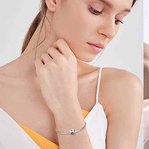 PEIMKO Personalized 3/5 Side Photo Charm Bead That Hold 3/5 Picture Fit Snake Bracelet Sterling Silver Custom Photo Charm Bead Customized Picture Heart Shape Bead for Women4