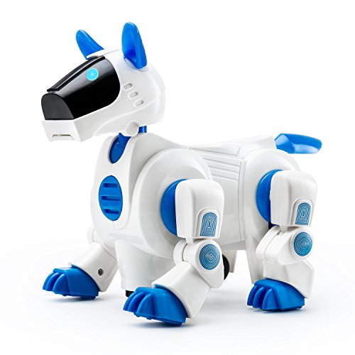 Playtech Logic Light Up Puppy Robot Dog Girls Boys Toddler Toys with Sound for Kids | Nodding Barking Walking Dog Toy | Bump and Go, Blue