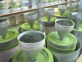 100 USDA JAS Organic Matcha Powder - Culinary Grade 50g — view 3