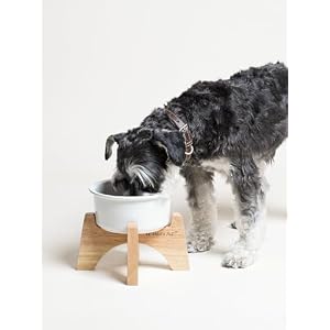 Raised Dog Bowl, 6.5 inch Elevated Dog Bowl Stand, Ceramic Dog Food Bowl with Wooden Stand, Dog Feeder for Small and Medium Breed, Set of 1, White Raised Dog Bowl, 6.5 inch Elevated Dog Bowl Stand, Ceramic Dog Food Bowl with Wooden Stand, Dog Feeder for Small and Medium Breed, Set of 1, White