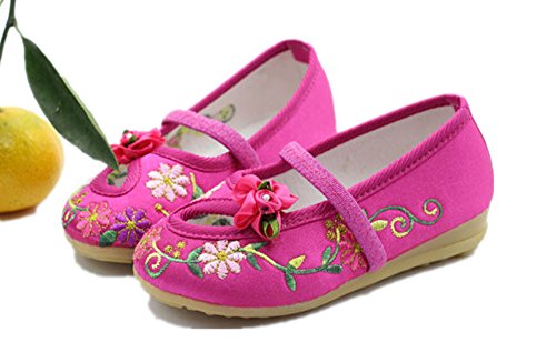 Tianrui Crown Children Girl's Embroidery Mary-jane Shoes Kid's Cute Flat Dance Shoe Rose Red