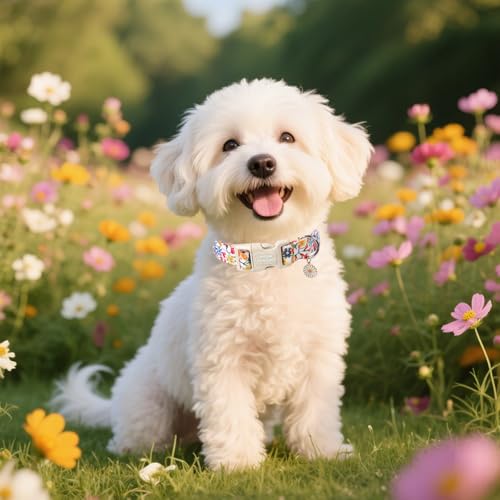 Unique style paws Hundehalsband mit Schnellverschluss aus Baumwolle, buntes Blumenmuster, langlebiges Geschenk, niedlich, für kleine, mittelgroße und große Hunde und Hündinnen