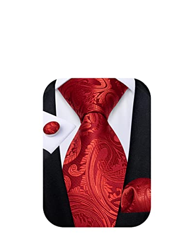 DiBanGu Red Floral Ties for Men Woven Silk Red Paisley Necktie Solid Color Tie Set Wedding Party