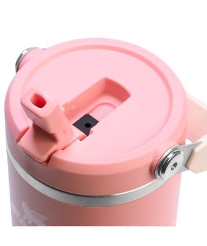 Image of STANLEY IceFlow 2.0 Flip Straw Tumble, Pink Mesa, 30 Ounces (Pack of 12)