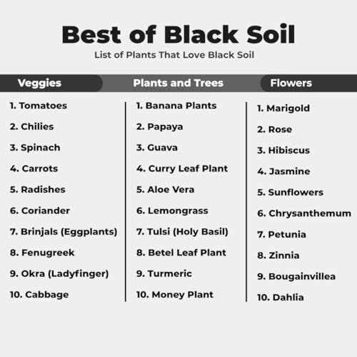 Image of Premium Black Soil (1KG) | Best for Plants Home Garden | Nutrient-Rich Organic Soil with Microbes | Enhances Fertility & Moisture Retention | Natural Chemical-Free Potting Mix