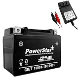 YTX4L-BS Lawn Mower Battery for Snapper All Walk Behind Mowers + Extra Charger