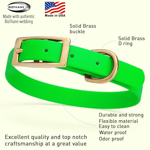 Image of Viper Biothane Heavy Duty Waterproof Dog Collar Strong Coated Nylon Webbing w /Solid Brass Hardware Odor-Proof Easy to Clean High Performance Fits Small Medium or Large Dogs, Tropical Green
