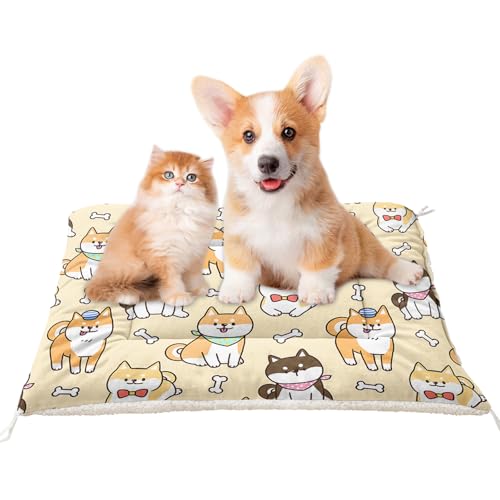 XYNHML 킢CG[hbO`Oȃxbh}bg(41C`×31C`)AKȌpbhAvg􂦂N[g\t@xbhA^^^LpX[sO}bgAv[tpbhN[gAAEghAAƒp