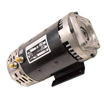 オリジナルThe Man From Delmonte - 12インチ2枚セット Amazon.com: 24V DC Electric Motor 40844 40844GT 5BCG52MA100
