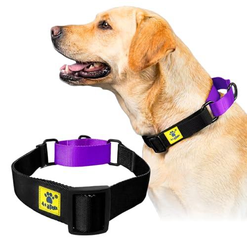 Image of A+a Pets Martingale Dog Collar | No Pull Design, No Neck Strain, No Choke Design | for Large & Medium Dogs | Rust Free, Waterproof Nylon Training Collar (Black & Purple), 30 x 2.5 cm