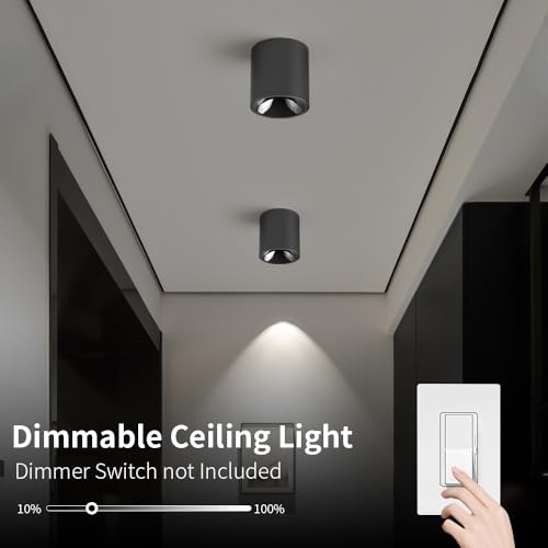 Image of JAYMP Modern LED Ceiling Light 4000K Dimmable 24W COB Black Surface Mount Cylinder Accent Down Light for Living Room Hallway Laundry Room