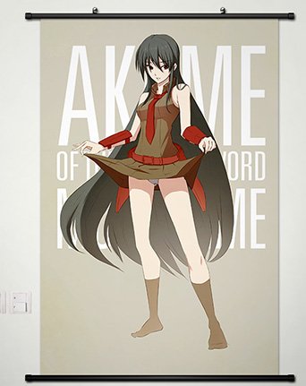 Home Decor Japanese Anime Akame ga KILL! Akame Cosplay 23.6x35.4 Inches -032
