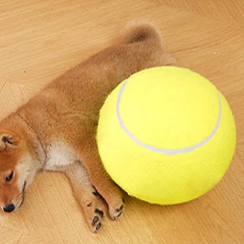 Jouet à mâcher résistant pour petit chien et chiot actif à la maison - 4
