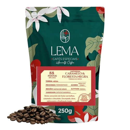 Café Especial 88 Pontos SCA – Torrado em GRÃOS 250g | Origem Matas de Minas | Notas Caramelo & Floresta Negra | 100% Arábica Premium, Microlote Exclusivo