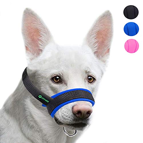Top 10 Best Dog Muzzles For Chewing in 2024 Reviews by Experts
