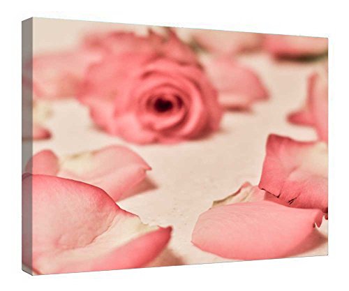 Impression sur toile avec pétales roses 40x50 cm encadrée en bois pour décoration murale