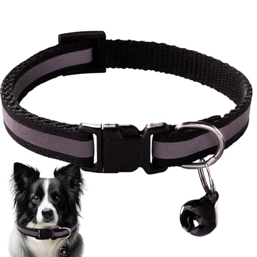 pJ[ - lR̂߂̒߉\ȈS | ˋ@\tiCyʂ킢ybgANZT[