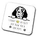 Produktbild Springer Spaniel Untersetzer I Didn't My Butt Just Blew You A Love Puff Pet Present Springer Spaniel Dog Mum Dad Friend Joke Lustiges Geschenk Geburtstag Weihnachten Hartfaserplatte Untersetzer