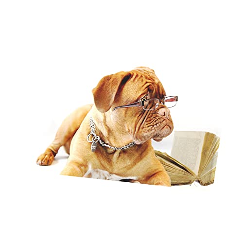 Toile bulldog francais marron pour decoration salon chic