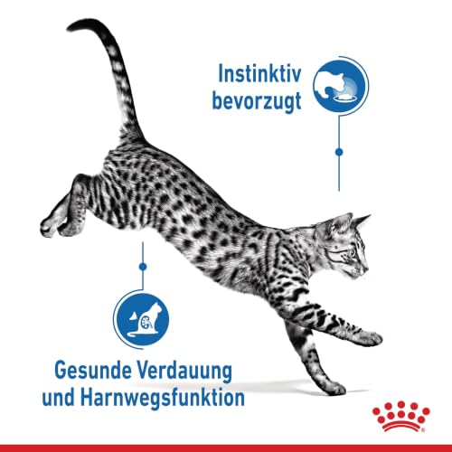 ROYAL CANIN Indoor in Soße Feuchtnahrung für Katzen – 12 x 85g