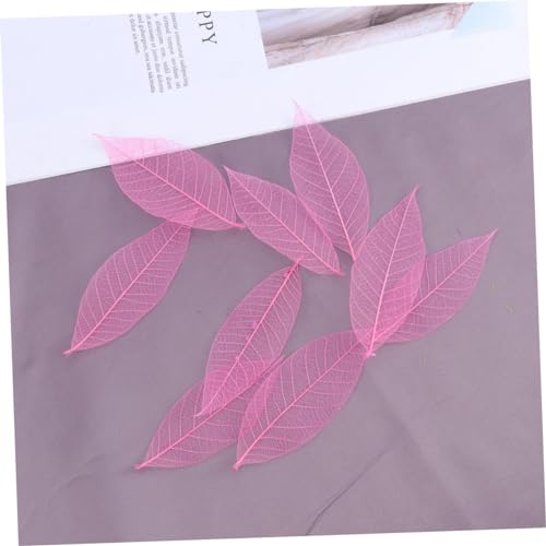 FUNOMOCYA 50 Peças Folhas De Esqueleto Secas Folhas De Artesanato Arte De Esqueleto Folhas De Árvore