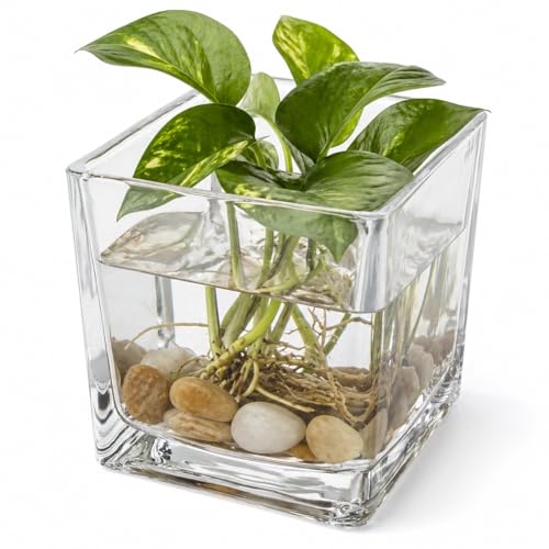 Vase carré en verre 8x8 cm de table pour composition florale