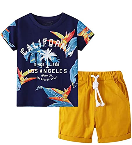 Image of Boys Summer Short Sets Outfits Cotton Casual Crewneck Short Sleeve Shirt Shorts Playwear Clothes Sets 2-7Y