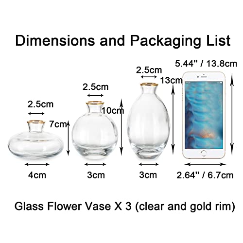 EylKoi Bud Vases Glass Mordern - Image 4