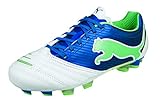 Puma PowerCat 2.12 FG WN's 102493, Damen Sportschuhe - Fußball, Weiss (White-puma royal-Green Flash 01), EU 42.5 (UK 8.5) (US 11)
