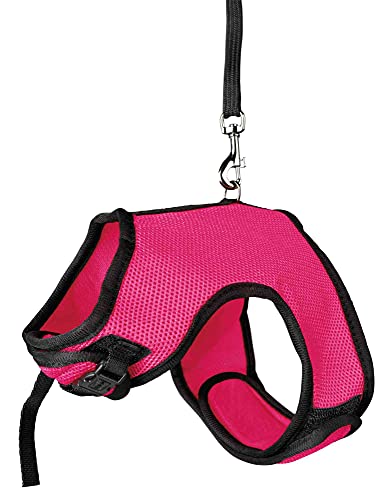 Trixie Pet Product 61512 Soft Harness With Leash For Small Animals Medium #TOP2